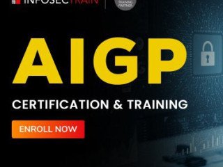 aigp-certification-training