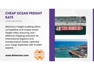 Unlock Unbeatable Ocean Freight Rates with Betachon Freight Auditing