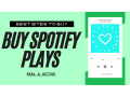 buy-100000-spotify-plays-at-a-affordable-price-small-0