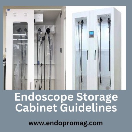 endoscope-storage-cabinets-guidelines-to-ensure-optimal-care-big-0