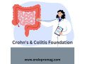 the-crohns-colitis-foundation-is-dedicated-to-a-cure-small-0