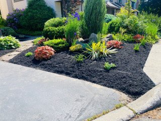 Looking for Exceptional Landscaping Services in Buffalo, NY?