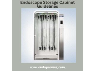 Maintaining Security with Endoscope Storage Cabinet Guidelines