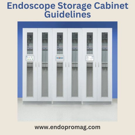 top-endoscope-storage-cabinet-guidelines-for-healthcare-facilities-big-0