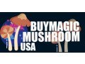 buy-magic-mushroom-usa-small-0