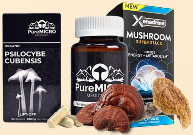 get-the-best-magic-mushrooms-big-0