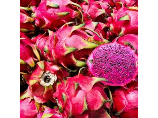 3 Pack x 1500 Seeds Red Dragon Fruit Seeds