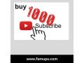 buy-1000-youtube-subscribers-to-grow-your-audience-fast-small-0