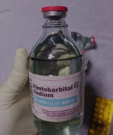 buy-your-nembutal-pentobarbital-from-a-premium-reputable-source-big-0