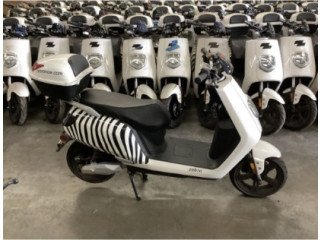 Public Auction: Surplus Electric Scooters, E-Mopeds, E-Bikes - No Reserve!