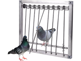 1PC Bird Cages Trap Stainless Steel Pigeon Trap Door Wire BarsFrame Entrance