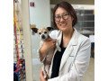 best-veterinarians-in-mclean-virginia-small-0