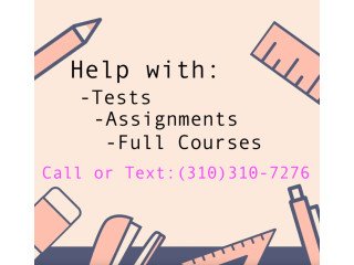 Hire an expert to help you with online courses and tests