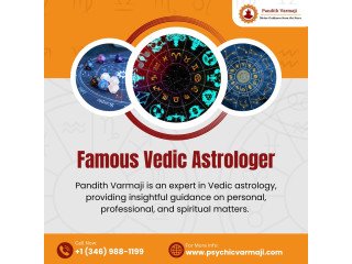 Famous Vedic Astrologer in Houston