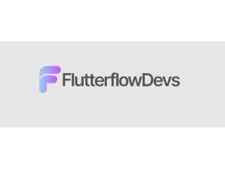 Custom FlutterFlow  Web App Solutions