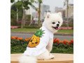 cute-pineapple-dog-sundress-small-0