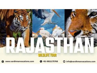 Explore Rajasthans Wildlife Treasures