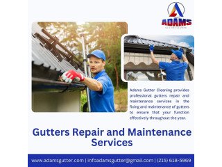 Gutter Repair and Maintenance Services