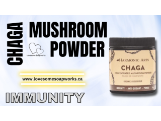 Best Chaga Mushroom Powder for Better Immunity