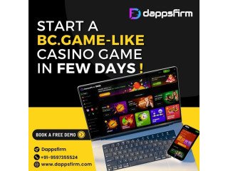 Affordable and Quick BC.Game Clone Software to Start Your Crypto Casino