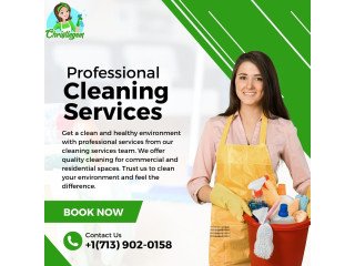 Professional Cleaning Services in Houston