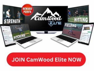 camwoodbats-com-free-shippings-all-product